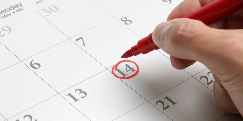 annual or monthly payment.jpg