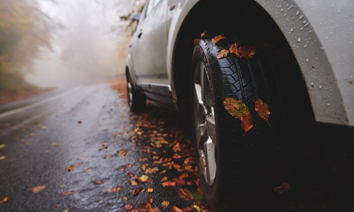 A car drives along a wet, foggy road that is covered in autumn leaves