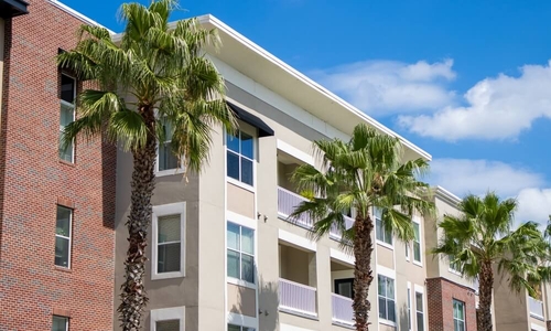 palm trees outside of florida condo (1).jpg